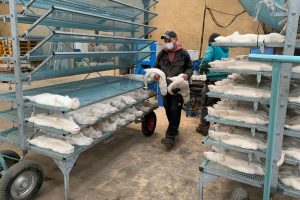 ERHH2ORXW5D5NCYK6T3RRH3MUI