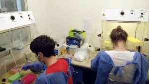 5ff4aea61c66e_1004x565