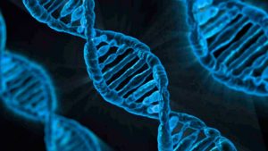 20210307genargentinocedocg-1138211