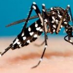 El dengue se encuentra en aumento