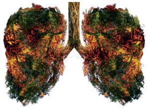 Lung green tree-shaped images, medical concepts, autopsy, 3D display and animals as an element