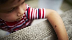 KQTK53U23VG5HO4VG2FGAKITFQ