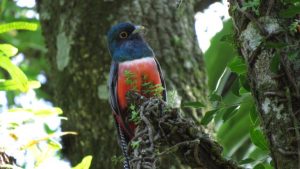 P56DL6I6P5DQBOF6YLUB7QYKZA