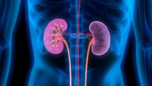 1140-kidney-disease-esp.imgcache.rev.web.700.399