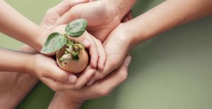 bigstock-medio-ambiente-ecología-1170x600