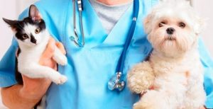 Webp.net-resizeimage-2020-09-23T214747.579-e1600908621977-1170x600