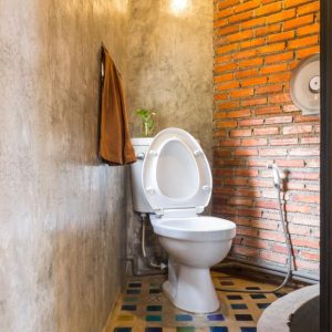 bigstock-flush-toilet-in-country-loft-i-303052435_1_621x621