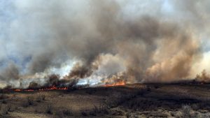 incendios