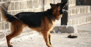 Diseno-sin-titulo-2-1170x600