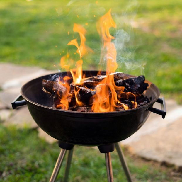 bigstock-burning-wood-in-barbeque-grill-397292843_1_621x621