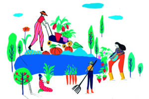 281181-3baja-203-20x-202