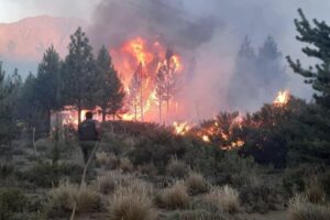 803073-136774-whatsapp-20image-202021-01-27-20at-2009-33-55_0