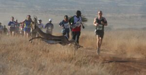 safaricom-1200-1170x600