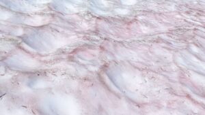 _108257768_nieverosa1