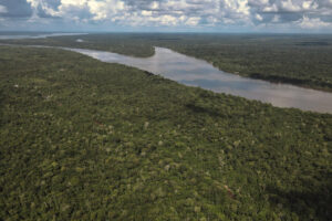 La deforestación en la Amazonía brasileña cayó un 33,6 % en el primer semestre