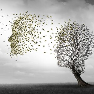 la-memoria_1_621x621