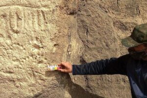 186458-whatsapp-20image-202021-08-17-20at-2017-00-30