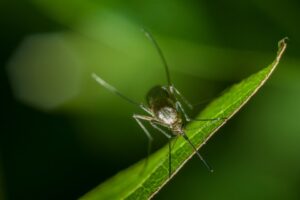 826043-whatsapp-20image-202024-03-23-20at-2019-46-21