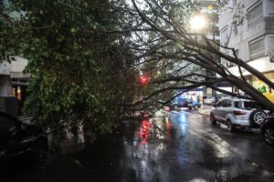 823101-whatsapp-20image-202024-03-13-20at-2014-18-16