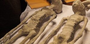 noRjWsKVZ_1256x620__1