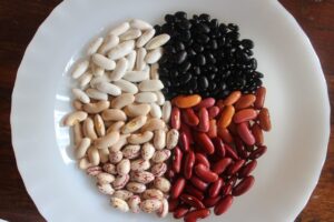 whatsapp_image_2023-05-29_at_14.38.35