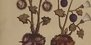 dQi1vLfoU_1256x620__1