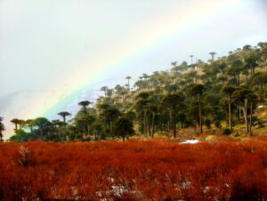 Caviahue-Copahue (9)