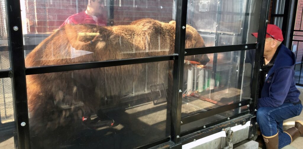 BYdFIukEB_1256x620__1