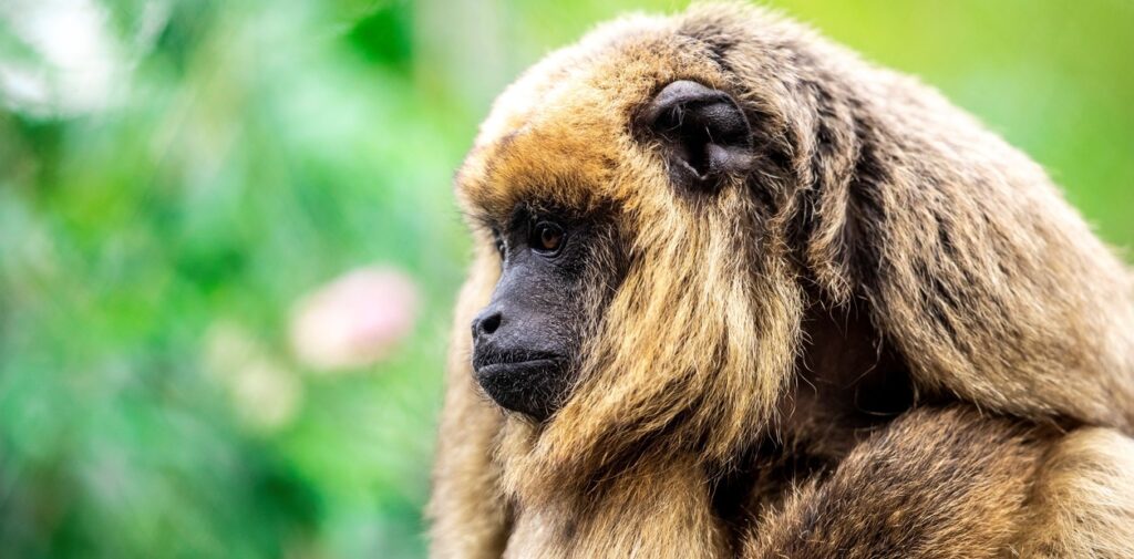 wGEADHKsw_1256x620__1