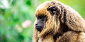 wGEADHKsw_1256x620__1