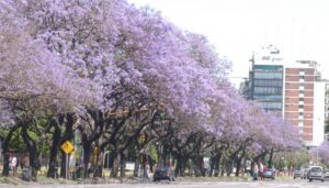 ccb792ecb48558cd86afcb81e8b3cd2038cdf924