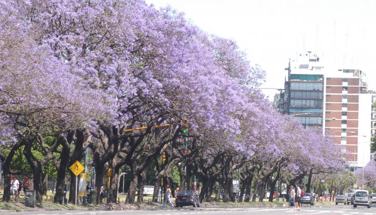 ccb792ecb48558cd86afcb81e8b3cd2038cdf924