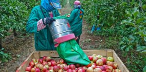 WTdP7OExt_1256x620__1