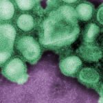 RGQiwxUDm_1256x620__1