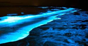 YSC3OMPS5RA5REPN5PK4B6XOW4