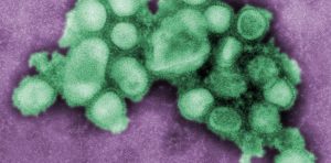 RGQiwxUDm_1256x620__1