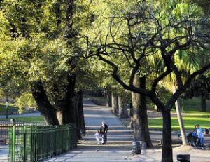 CREATOR: gd-jpeg v1.0 (using IJG JPEG v62), quality = 100