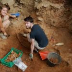 Con el ADN de semillas de uva reconstruyeron el origen del actual vino