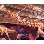 Cómo se descubrió el dinosaurio más grande del mundo