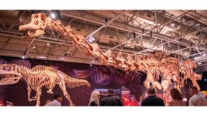 29062025dinosauriomuseoferuglioparquethaysgcbag-2051841