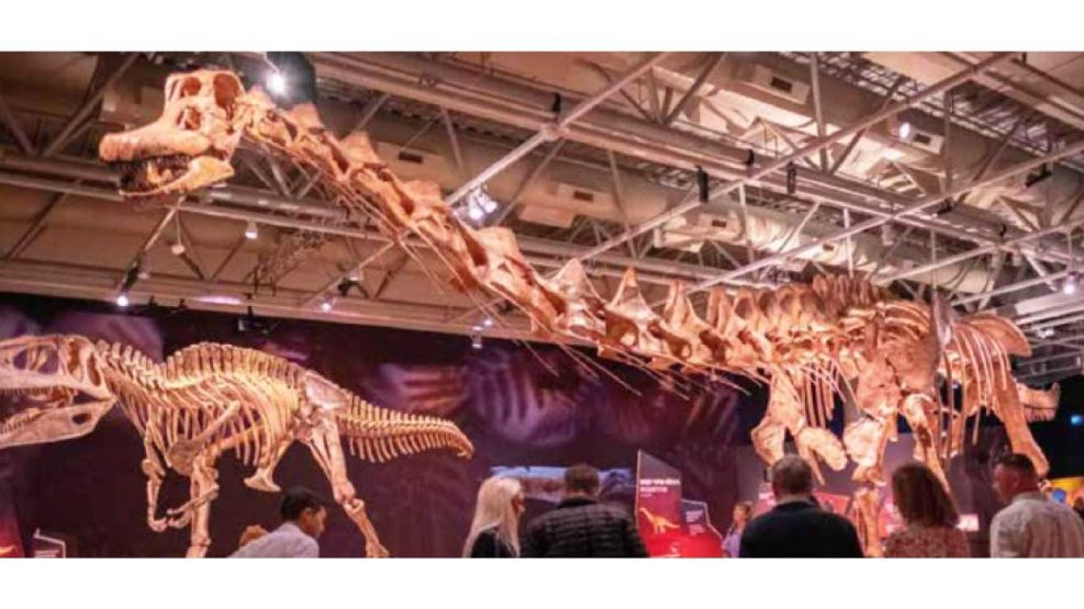29062025dinosauriomuseoferuglioparquethaysgcbag-2051841