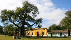 Ischilin-Cordoba-min-768x432