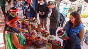 gran_chaco_americano_onu_bolivia_credito_morelia_erostegui-271