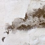 Prevenir filtraciones, hongos y daños antes de la llegada del verano
