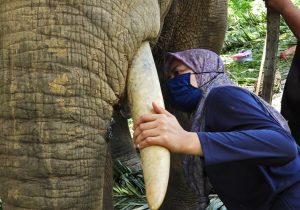 Farina-_Othman-_2025_Malaysia_Fieldwork_CREDIT-Cede-Prudente-2
