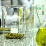 Aceite de cannabis